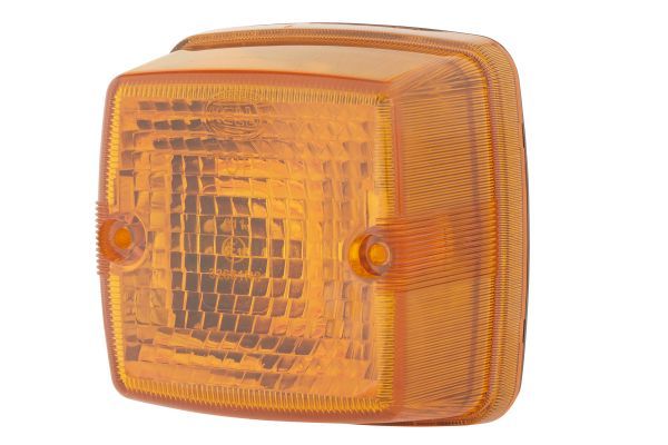 HELLA Blinkleuchte (2BA 003 014-111)