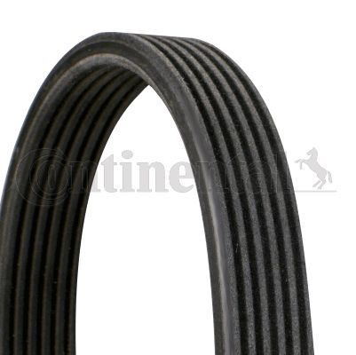 CONTINENTAL CTAM Keilrippenriemen (6DPK1195)