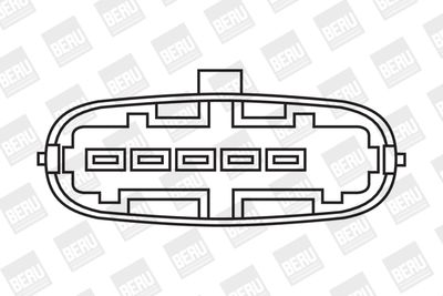 BorgWarner (BERU) Zündspule (ZS342)