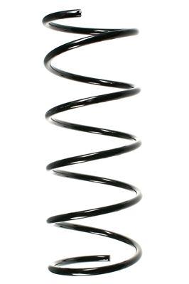 SPIDAN Fahrwerksfeder (49271)