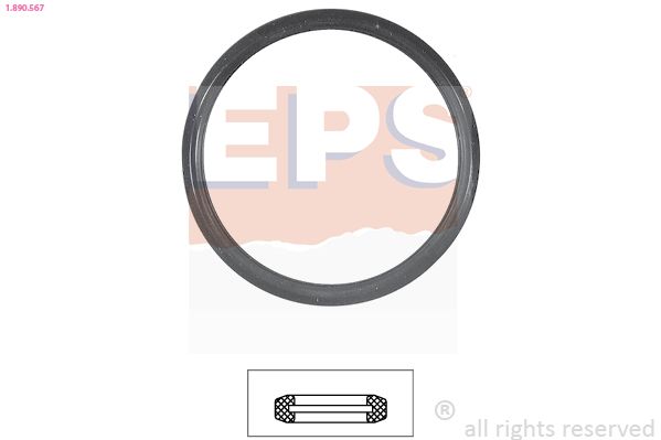 EPS Dichtung, Thermostat (1.890.567)