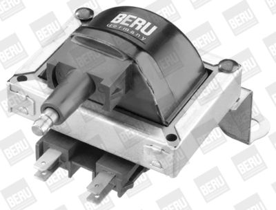 BorgWarner (BERU) Zündspule (ZS252)