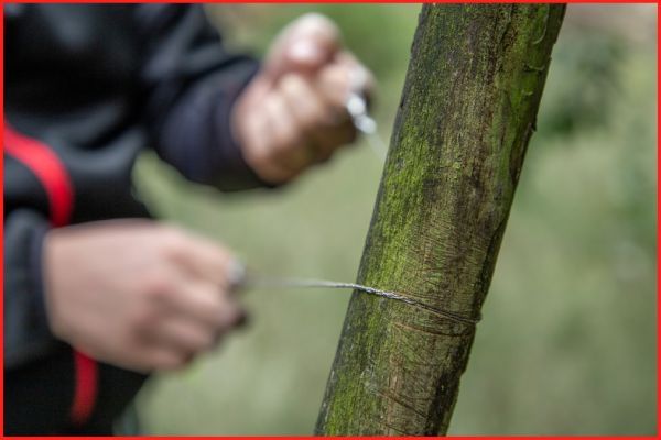 KS TOOLS Säge (123.0005) KS TOOLS Säge (123.0005)
