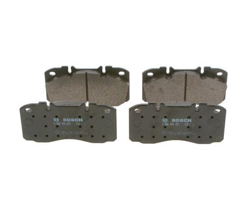 BOSCH Bremsbelagsatz, Scheibenbremse (0 986 494 257) BOSCH Bremsbelagsatz, Scheibenbremse (0 986 494 257)