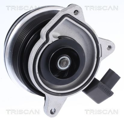 TRISCAN Wasserpumpe, Motorkühlung (8600 29062)