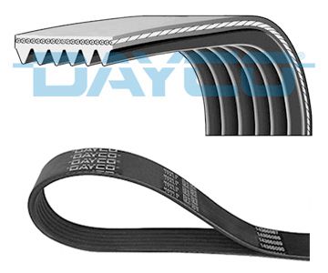 DAYCO Keilrippenriemen (6PK1090)