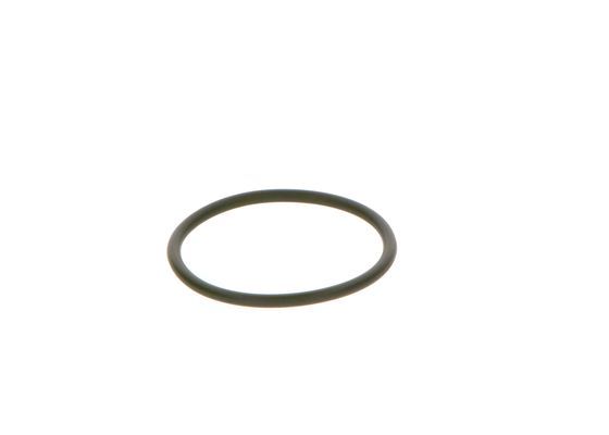 BOSCH Gummiring (F 00R 0P0 166)
