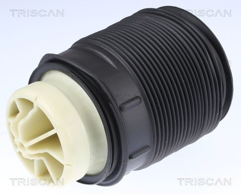 TRISCAN Luftfeder, Fahrwerk (8720 23201)
