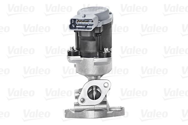 VALEO AGR-Ventil (700423)