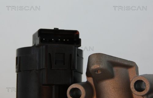 TRISCAN AGR-Ventil (8813 10001) TRISCAN AGR-Ventil (8813 10001)