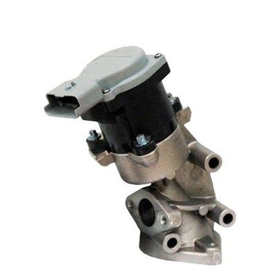 MAGNETI MARELLI AGR-Ventil (571822112032)