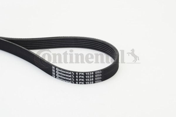 CONTINENTAL CTAM Keilrippenriemen (6PK1538)