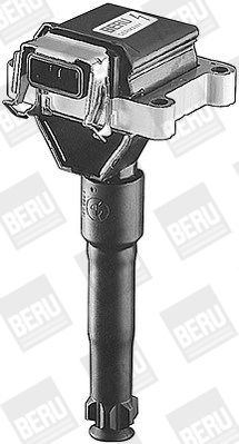 BorgWarner (BERU) Zündspule (ZS014)