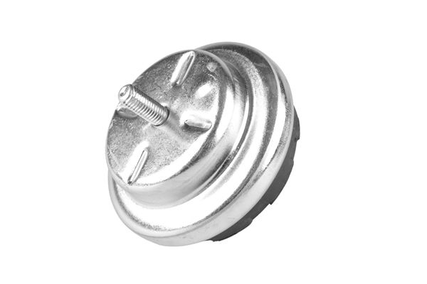 TEDGUM Lagerung, Motor (00504647)