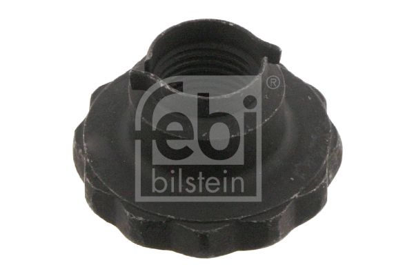 FEBI BILSTEIN Mutter, Achszapfen (32557) 4027816325574 32557