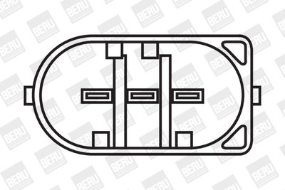 BorgWarner (BERU) Zündspule (ZS053) Thumbnail