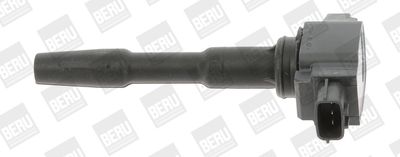 BorgWarner (BERU) Zündspule (ZSE131)