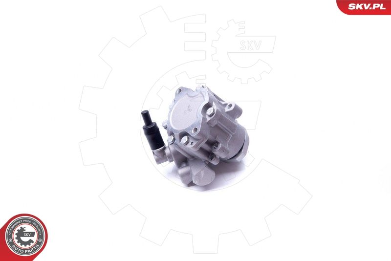 ESEN SKV Hydraulikpumpe, Lenkung (10SKV282) ESEN SKV Hydraulikpumpe, Lenkung (10SKV282)