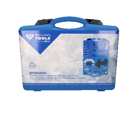 KS TOOLS Einstellwerkzeugsatz, Steuerzeiten (BT594650) KS TOOLS Einstellwerkzeugsatz, Steuerzeiten (BT594650)