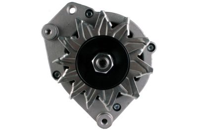 HELLA Generator (8EL 012 428-871)