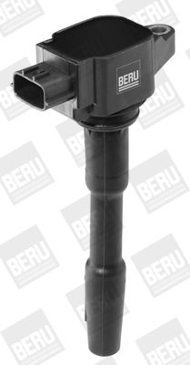 BorgWarner (BERU) Zündspule (ZSE131)
