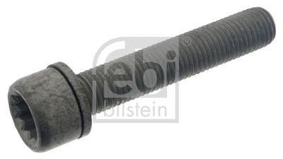 FEBI BILSTEIN Schraube, Bremssattel (48817)