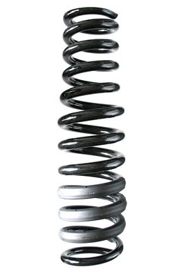 SPIDAN Fahrwerksfeder (85601)