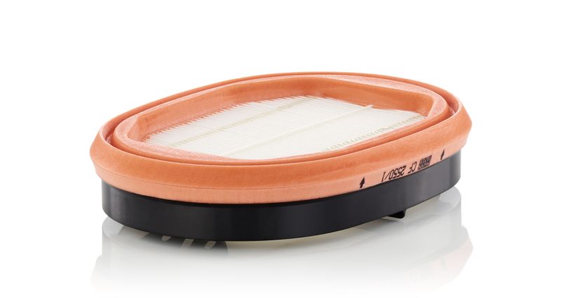 MANN-FILTER Sekundärluftfilter (CF 2550/1)