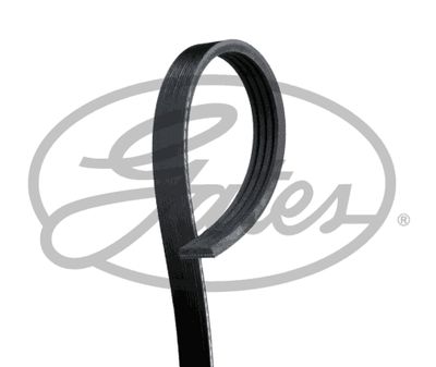GATES Keilrippenriemen (4PK860)