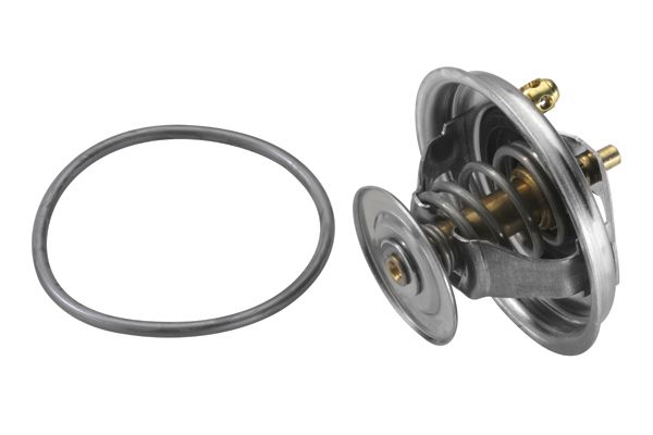 BorgWarner (Wahler) Thermostat, Kühlmittel (4123.80D)