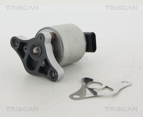 TRISCAN AGR-Ventil (8813 24002)