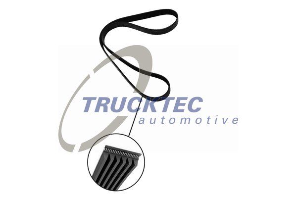 TRUCKTEC AUTOMOTIVE Keilrippenriemen (08.19.084)