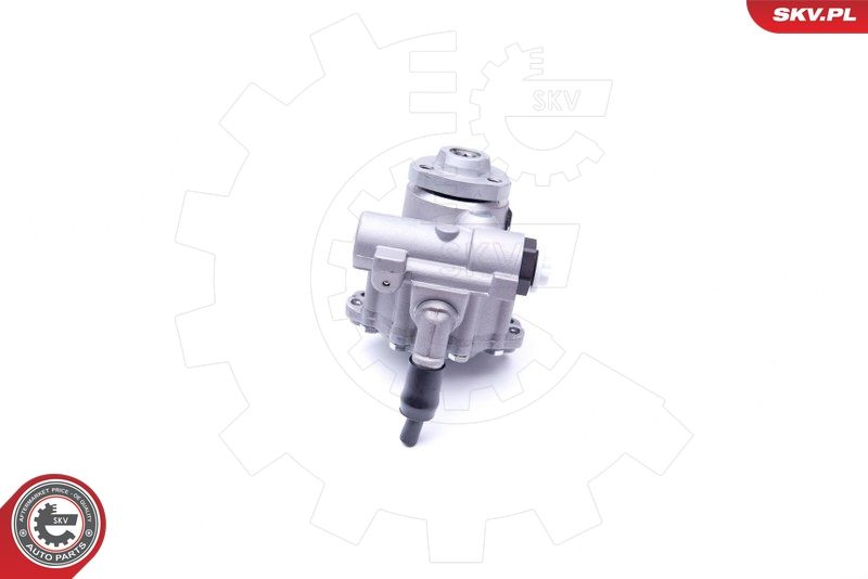 ESEN SKV Hydraulikpumpe, Lenkung (10SKV256) ESEN SKV Hydraulikpumpe, Lenkung (10SKV256)