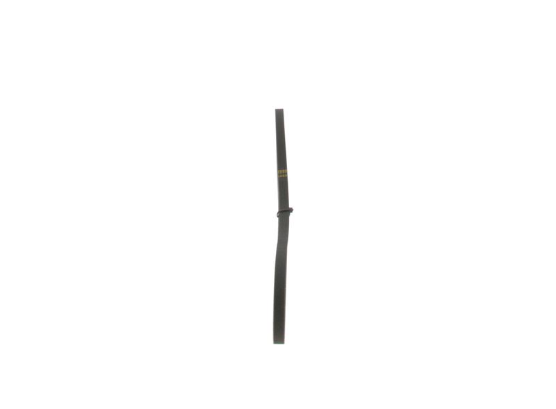 BOSCH Keilrippenriemen (1 987 948 308)