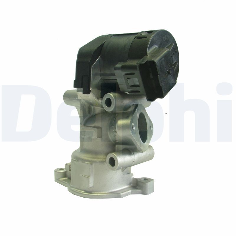 DELPHI AGR-Ventil (EG10396-12B1)