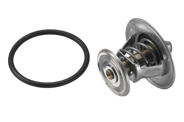 BorgWarner (Wahler) Thermostat, Kühlmittel (4264.87D)