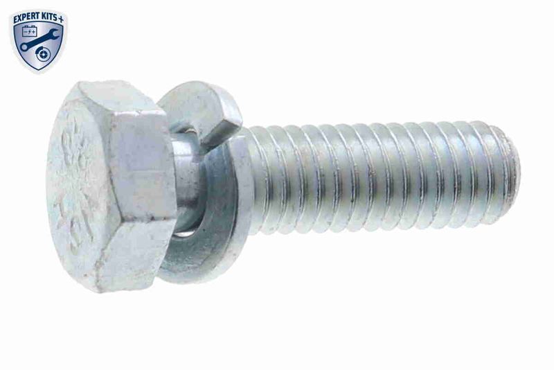 VAICO Teilesatz, Automatikgetriebe-Ölwechsel (V10-7344-XXL) VAICO Teilesatz, Automatikgetriebe-Ölwechsel (V10-7344-XXL)
