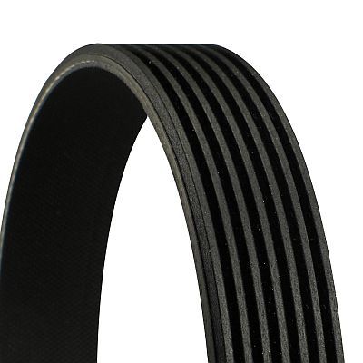 CONTINENTAL CTAM Keilrippenriemen (7PK1549)