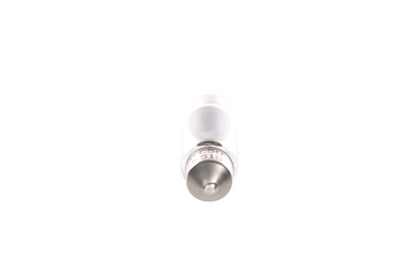 BOSCH Glühlampe (1 987 302 507)