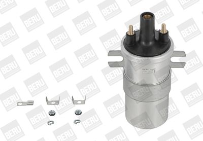 BorgWarner (BERU) Zündspule (ZS563) Thumbnail