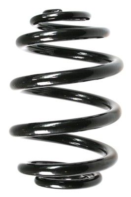 SPIDAN Fahrwerksfeder (55085)