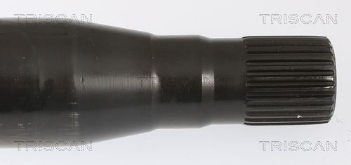 TRISCAN Radlagersatz (8530 23236)
