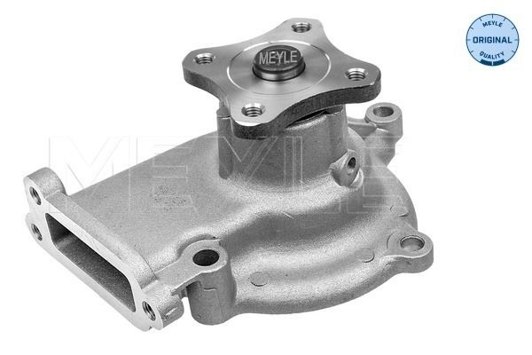 MEYLE Wasserpumpe, Motorkühlung (36-13 210 0011)
