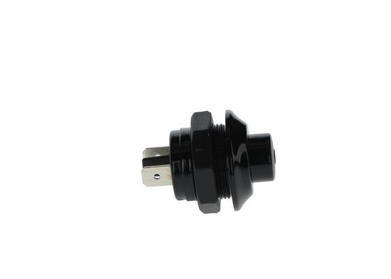 BOSCH Schalter (0 343 003 004)