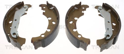 TRISCAN Bremsbackensatz (8100 16006)