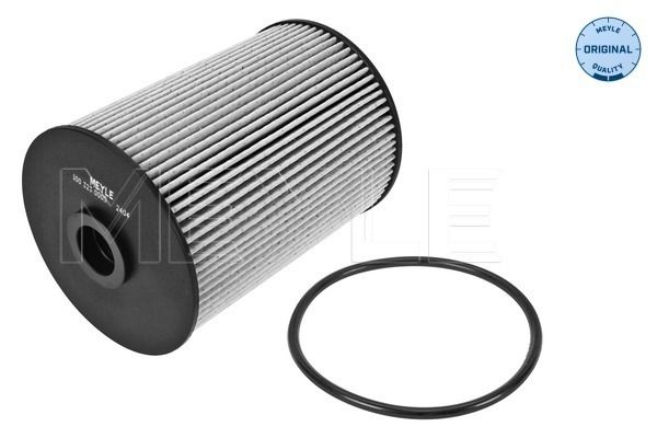 MEYLE Kraftstofffilter (100 323 0005)