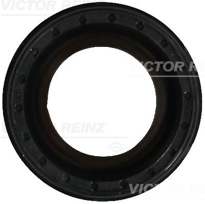 VICTOR REINZ Wellendichtring, Nockenwelle (81-10594-00)