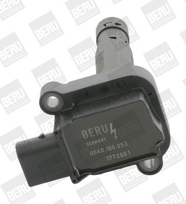 BorgWarner (BERU) Zündspule (ZS053)