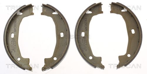 TRISCAN Bremsbackensatz (8100 11011) Thumbnail