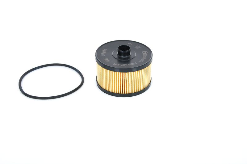 BOSCH Ölfilter (F 026 407 231) BOSCH Ölfilter (F 026 407 231)